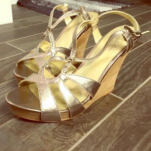 Seychelles Wedge Sandals | Size 10